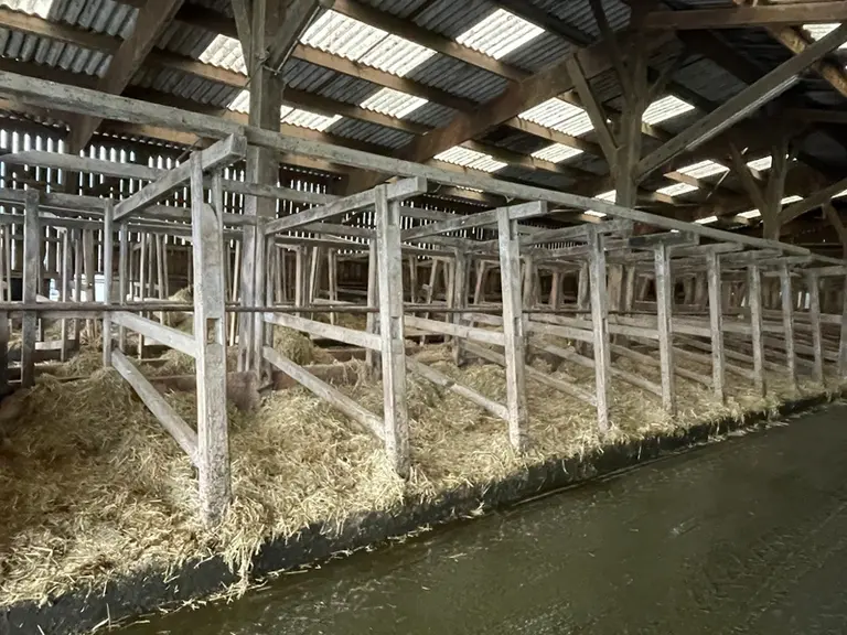 <em class="placeholder">logettes en bois</em>
