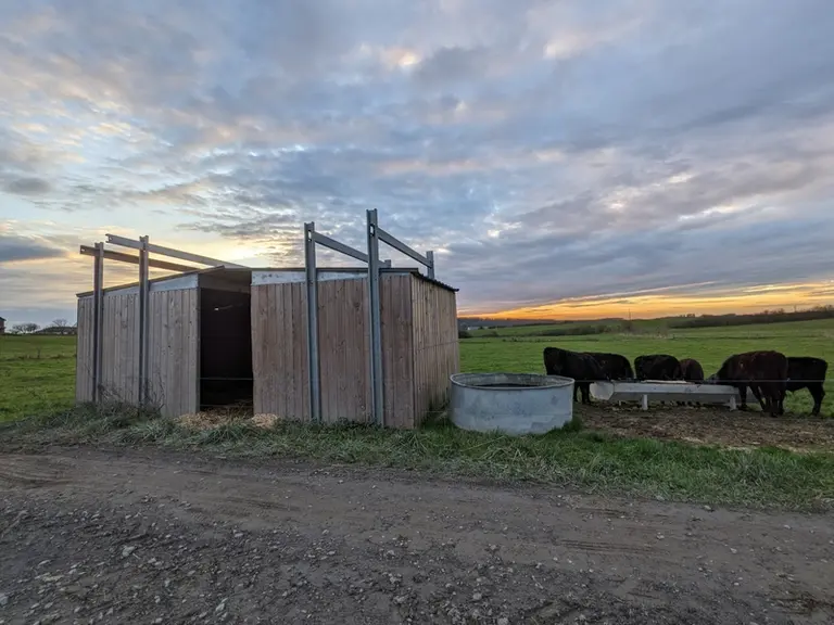 <em class="placeholder">Des cabanes ont été installées pour les veaux croisés. Les deux parties se font face pour limiter l’entrée de la pluie et du vent et chacune d’entre elle est ...</em>