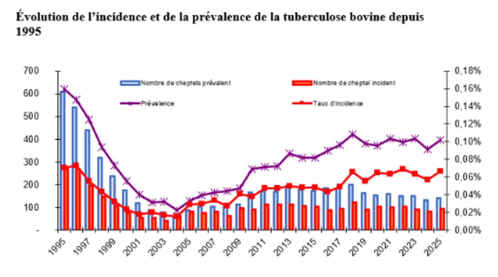 Graphique présentant l'évolution de l'incidence et de la prévalence de la tuberculose bovine depuis 1995.