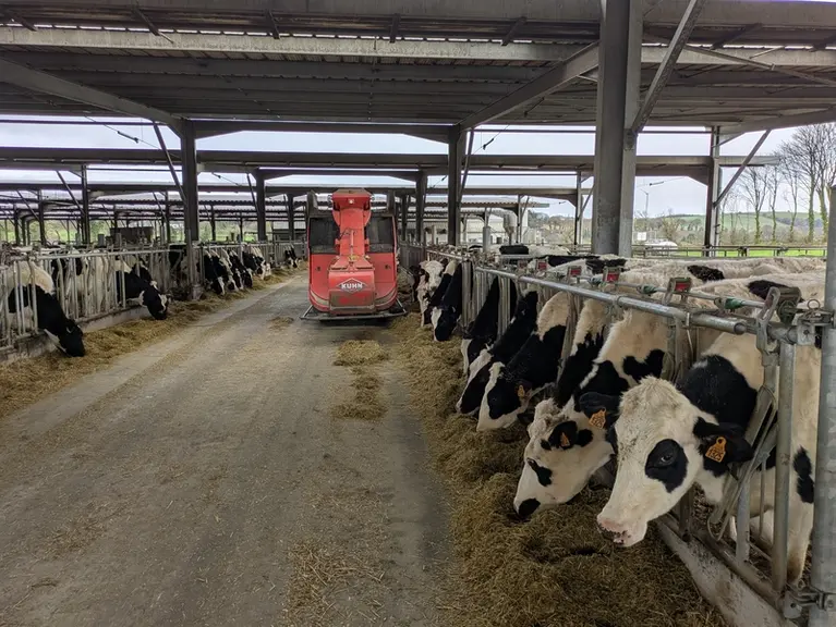 <em class="placeholder">Le robot Kuhn Aura distribuant aux cornadis</em>