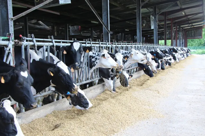 <em class="placeholder">Le méteil est distribué en été ou en hiver.</em>