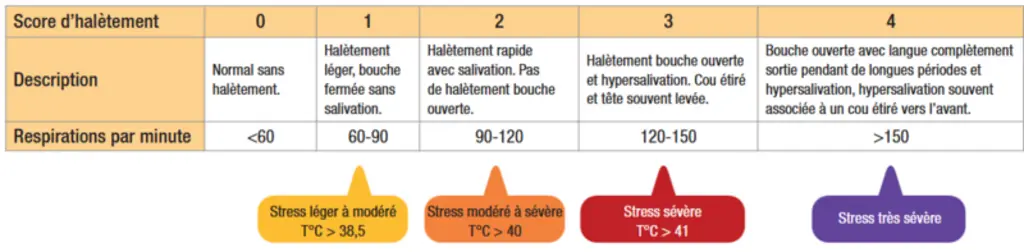 <em class="placeholder">Score de halètement des bovins</em>