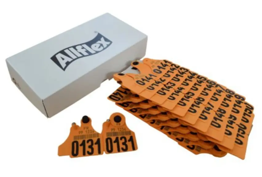 <em class="placeholder">Conditionnement des boucles pour bovins sur un support en carton</em>