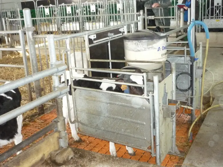 <em class="placeholder">quai autonettoyant avec caillebotis dans une nurserie avec DAL</em>
