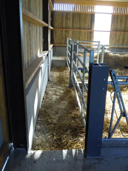 <em class="placeholder">couloir dans une nurserie pour les veaux </em>