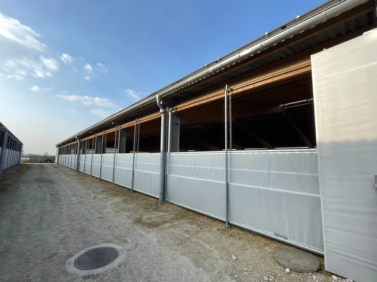rideaux amovibles dans stabultion laitière