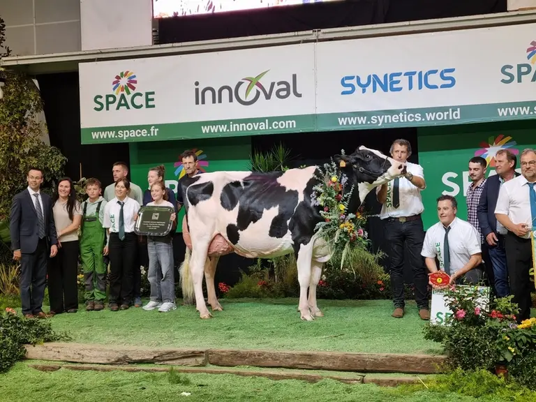 <em class="placeholder">La vache Gaec Robinard Pastèque, grande championne du concours Prim'Holstein au Space 2026 </em>