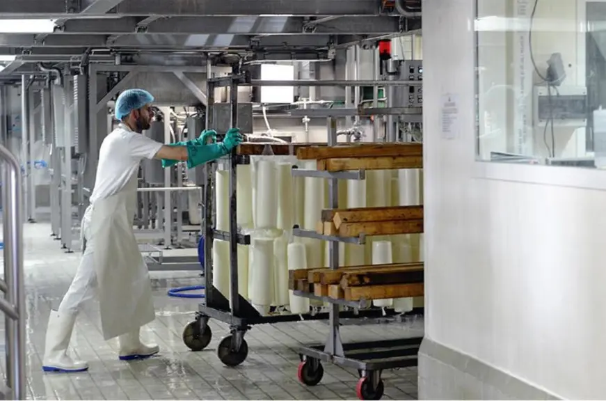 La coopérative fabrique une large gamme de 
fromages : provolone, ricotta, mozzarella…