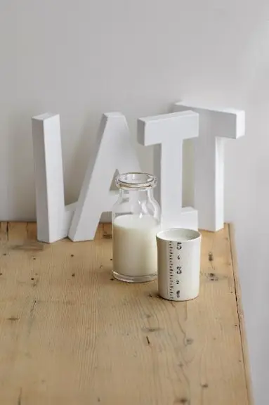 La journée mondiale du lait du 1er juin a été 
créée par la FAO en 2001. Son instauration 
refléte le caractère essentiel du lait et son 
universal