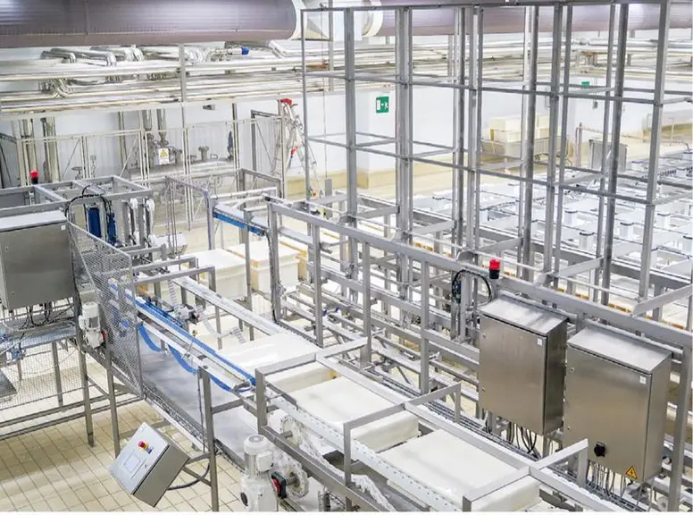 MOULAGE La mozzarella fabriquée à Usmate est
lactique. Après pasteurisation, le lait est ensemencé en
ferments pour obtenir un pH de 5,2 puis emprés