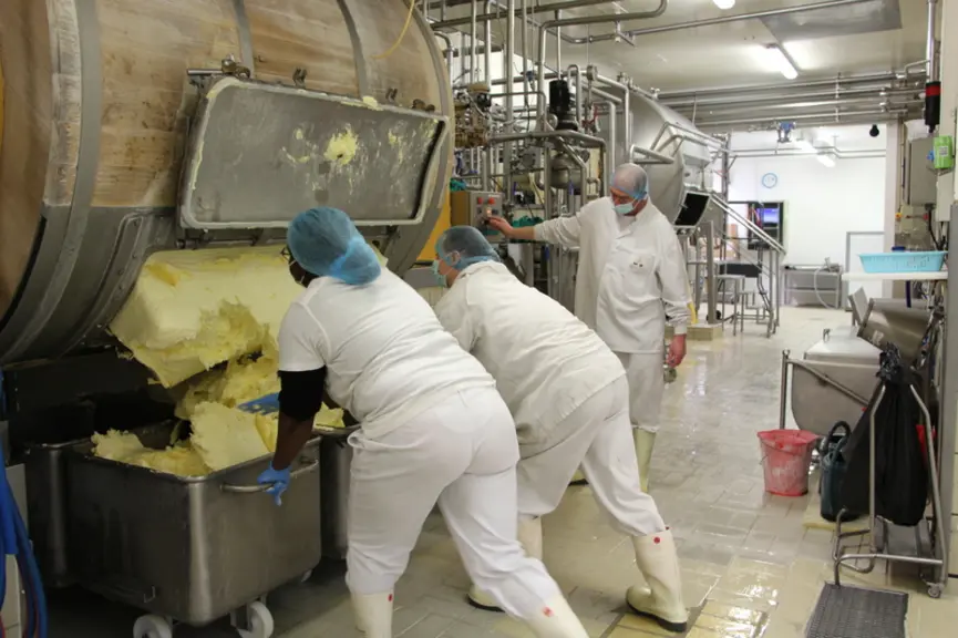 La beurrerie a 2 barattes de 4000 l en teck blond de Birmanie, imputrescible et assez dur pour résister à l’action mécanique du barattage. La crème es