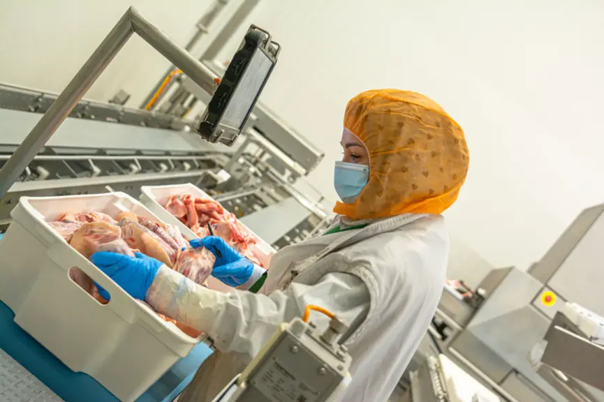 Une employée de l'entreprise Van Bogaert examine les pièces de porc avant de les renseigner sur f-TRACE
