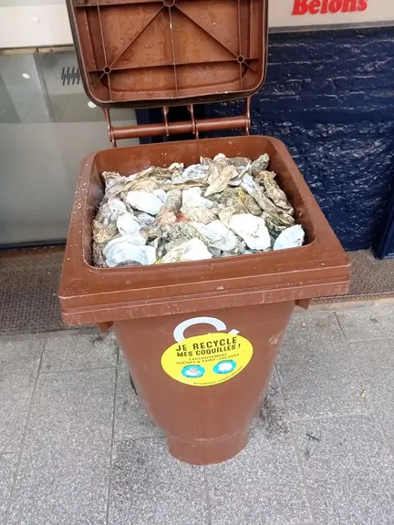 L’entreprise toulousaine Providentiel Coquillages organise depuis deux ans une collecte volontaire de coquilles d’huîtres et de coquilles Saint-Jacque