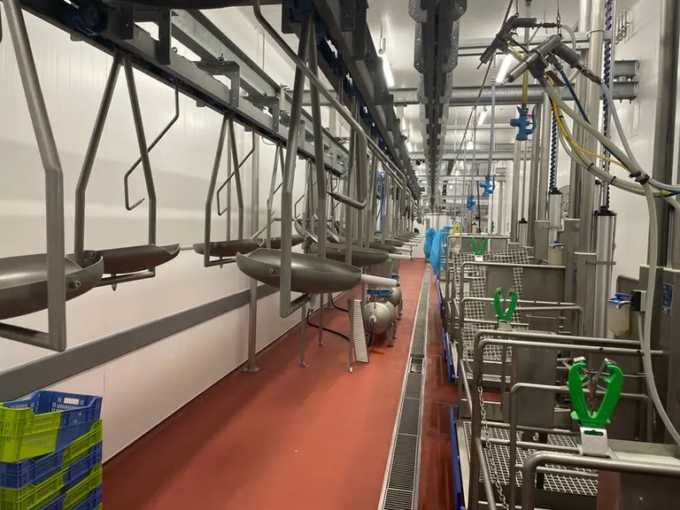 Les flux de la nouvelle usine Porketto sont mieux adaptés et plus efficaces.