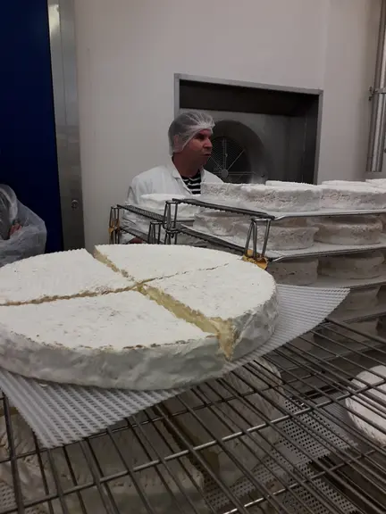 Les bries de Meaux sont vendus entiers, en roue de 3 kg, en quart ou en huitième. © B. C.