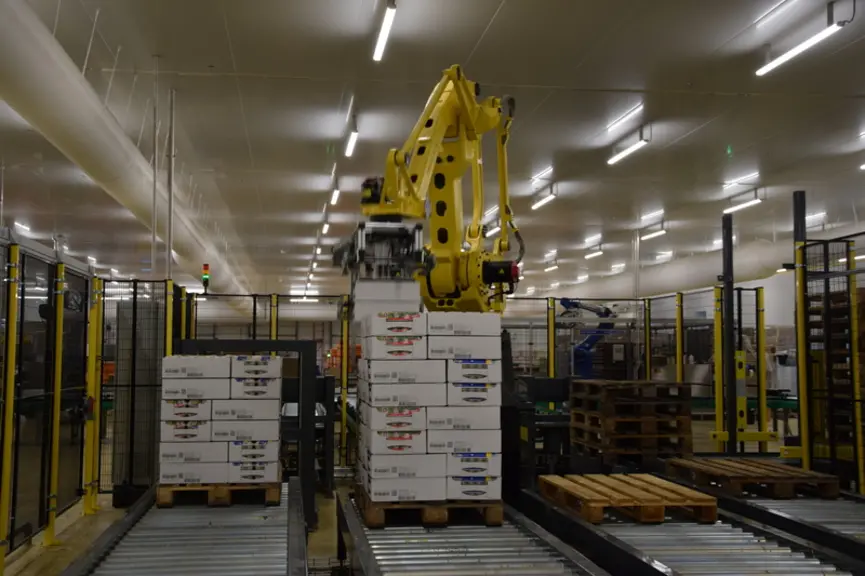 Le centre a investi dans la robotisation tant pour la formation des cartons et leur remplissage que pour la palettisation et la préparation de command