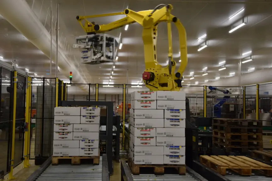 Le centre a investi dans la robotisation tant pour la formation des cartons et leur remplissage que pour la palettisation et la préparation de command