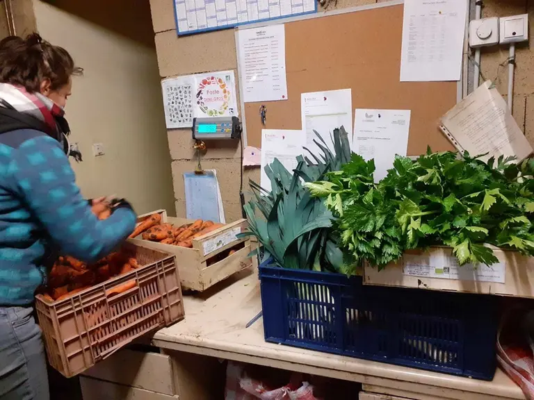 Auvabio organise et structure la production de fruits et légumes bios en Auvergne à destination du marché du demi-gros. Son fonctionnement inspire d’a