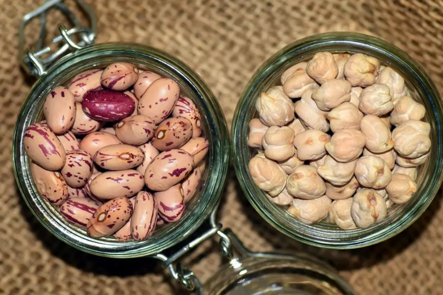 Les protéines de légumineuses n’ont pas encore trouvé leur place dans l’alimentation occidentale. © Ulleo/3991 Images/Pixabay