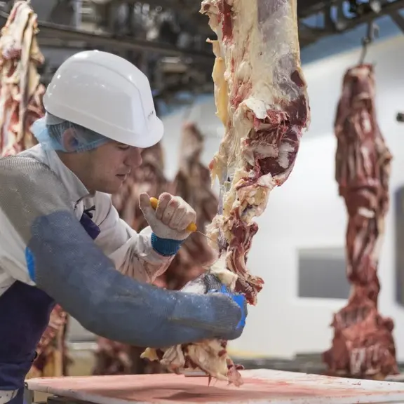 S’il s’agit de la deuxième transformation réalisée en atelier de découpe, le projet est éligible s’il est attenant à l’abattoir. © groupe EVS