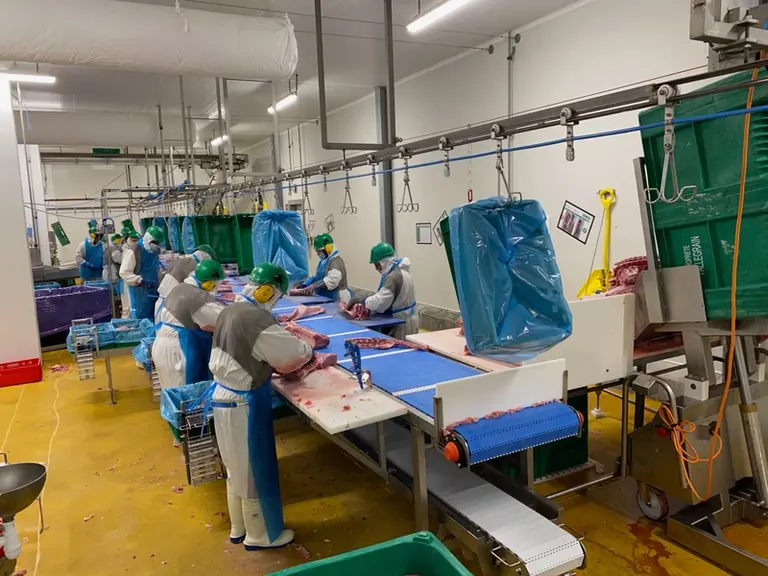 Tapis de coupe des carrés © Y. B.