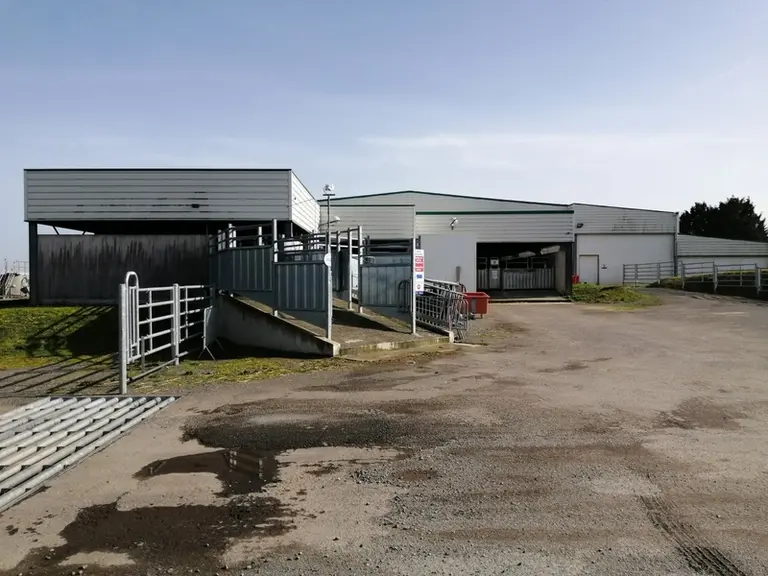 Après les investissements réalisés par les repreneurs, l’abattoir poursuivra sa modernisation avec le plan France Relance. Parmi les investissements e