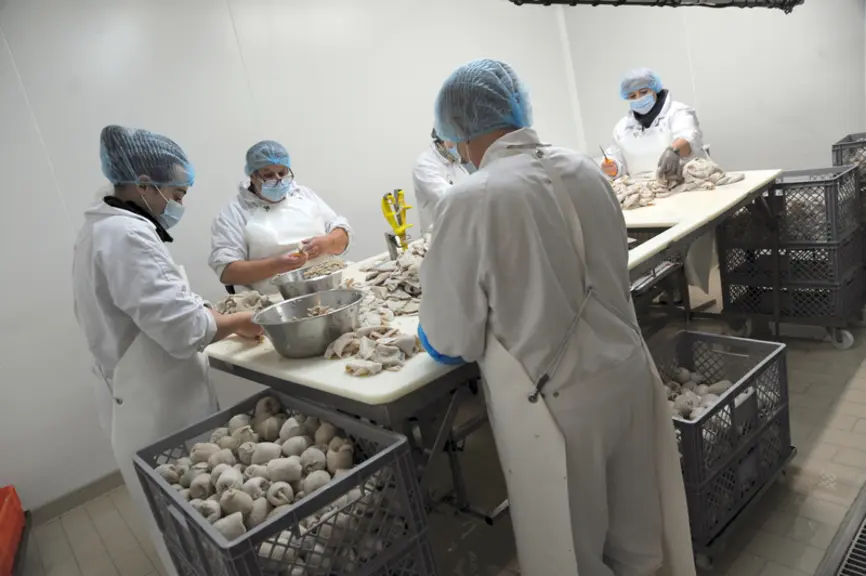 Le, tripou produit phare d'Uniplanèze, préparé artisanalement.
