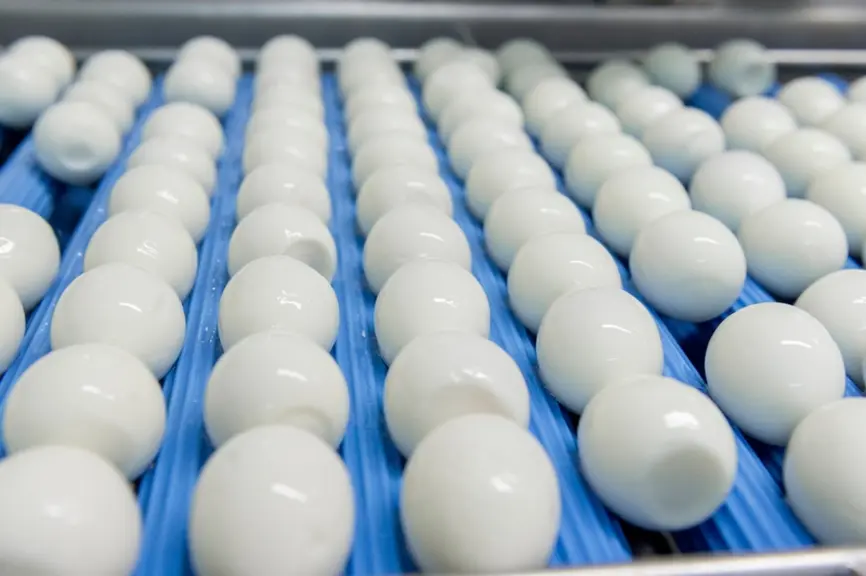 production d'Oeuf dur