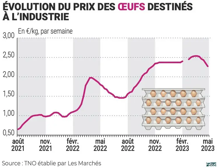 Œufs, ovoproduits, la tension va durer encore quelques mois