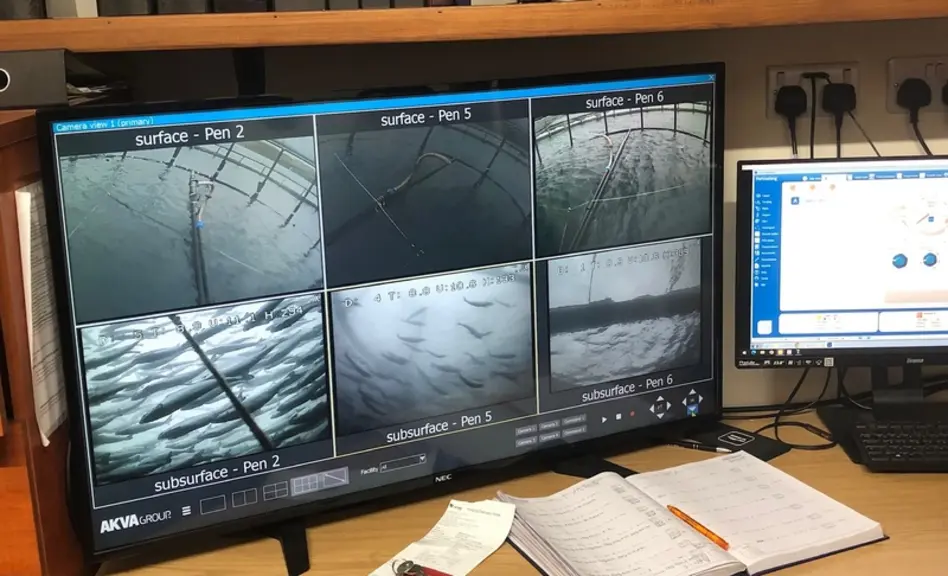 Caméra de surveillance des saumons dans différents bassins aquacole