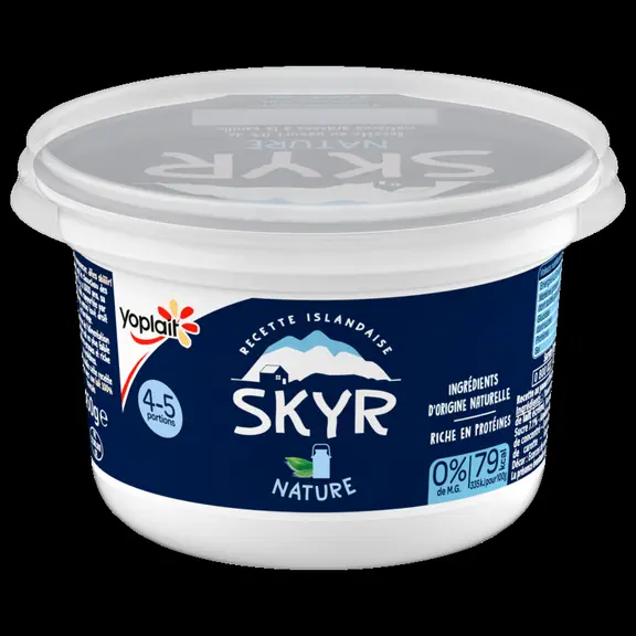 Grand pot Skyr Yoplait