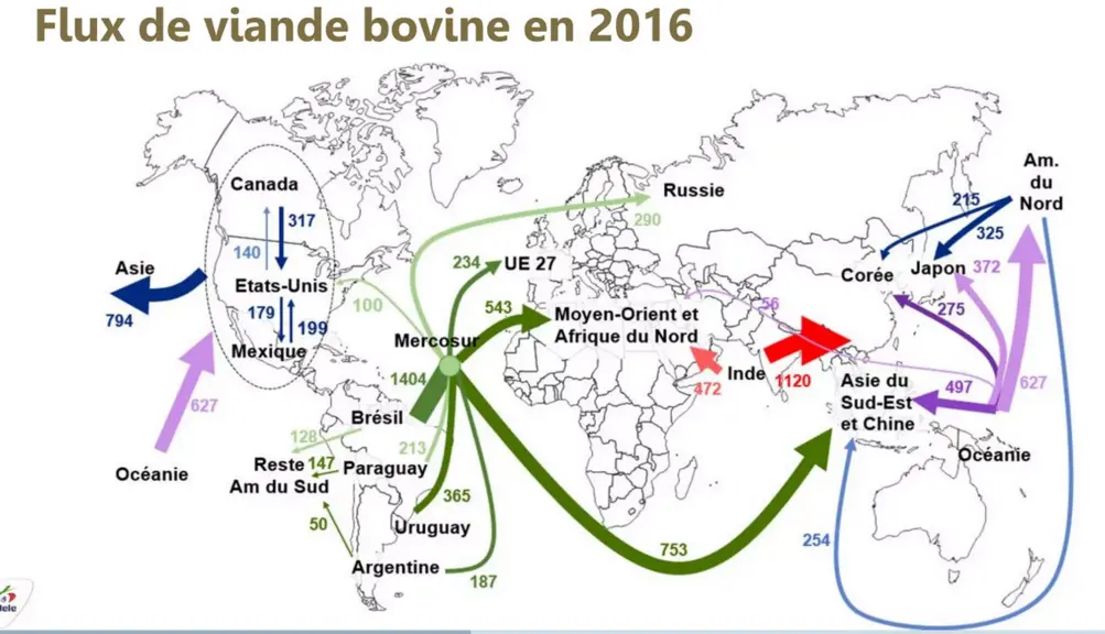 Flux de viande bovine en 2016
