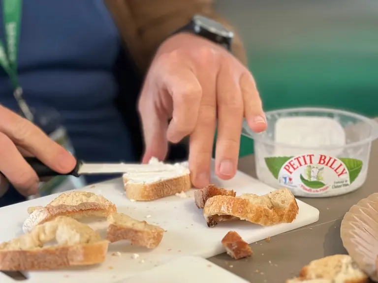 Le lait destiné à la fabrication du Petit Billy provient de chèvres élevées en Bretagne.