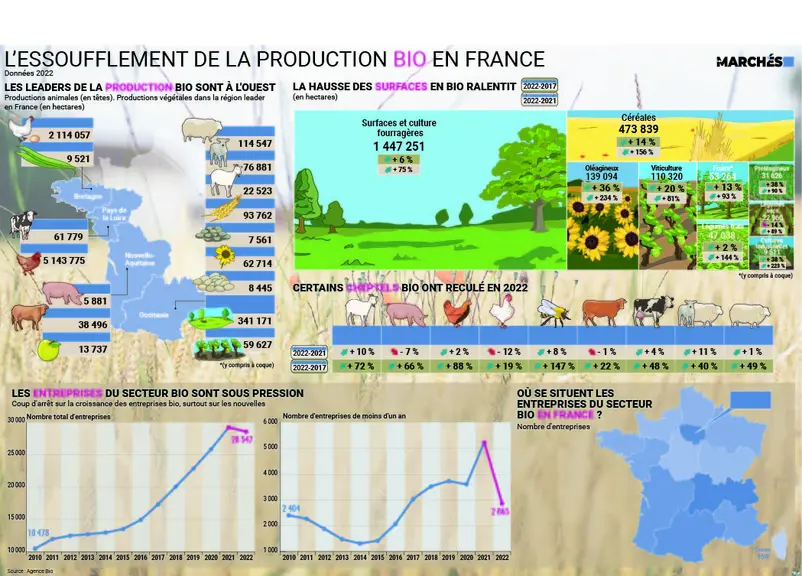 Infographie sur le bio parue en octobre 2023 dans votre magazine Les Marchés Mag