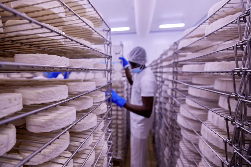 industrie agroalimentaire fromagerie