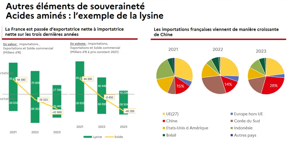 infographie lysine