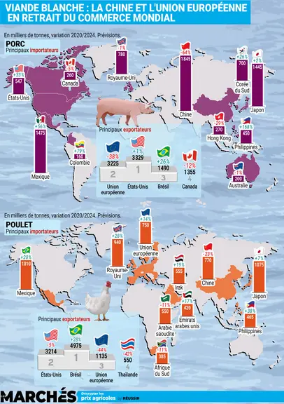 Infographie Les Marchés juillet 2024 sur la perte de poids de l'UE et la Chine dans le commerce mondial du porc et de la volaille