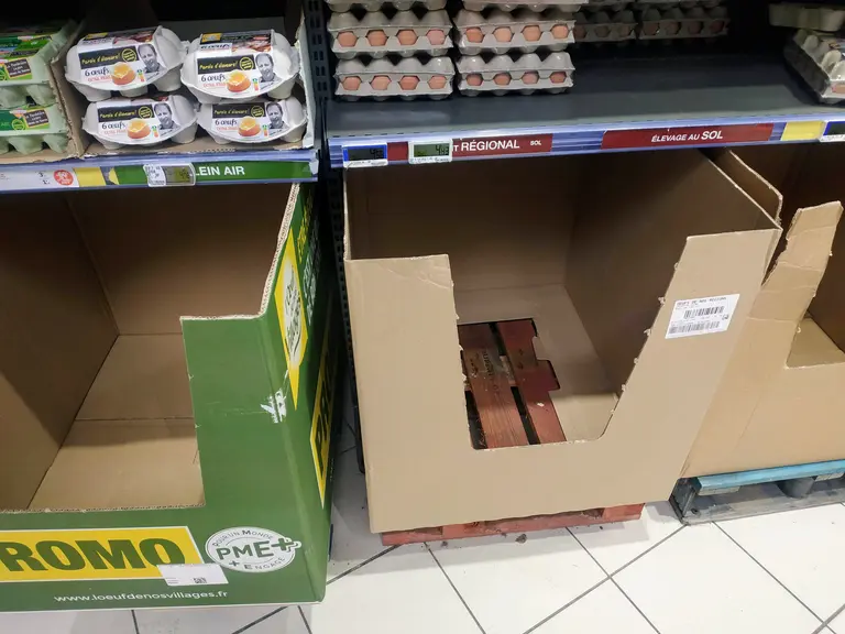 Oeufs en rayon vide