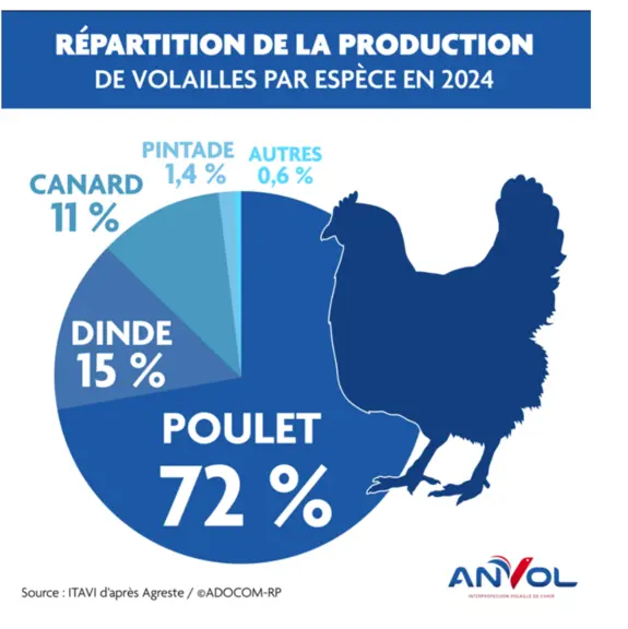 Anvol analyse volailles