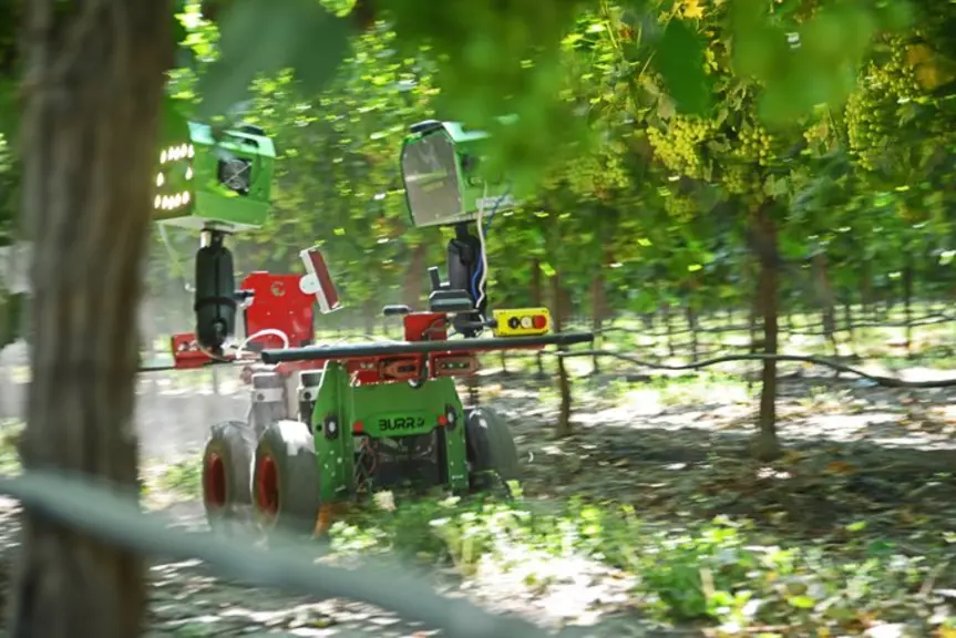Le robot Burro, ici doté de capteurs optique Bloomfields Robotics, pourrait à terme mesurer le rendement, la maturité, les attaques de ravageurs.