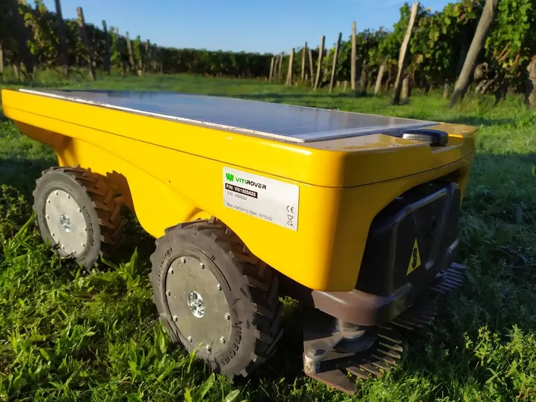 Le nombre de robots nécessaires par unité de surface, et donc le prix de la prestation, varie selon la densité de plantation. © Vitirover