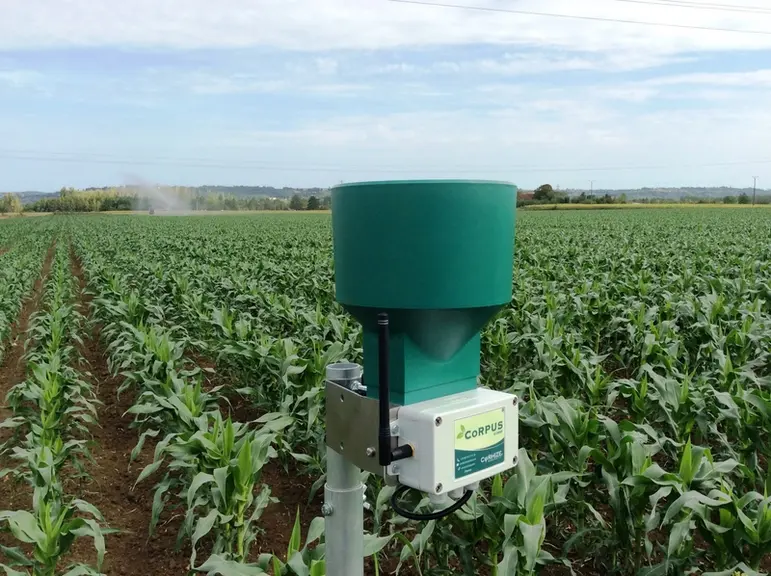 Le pluviomètre permet d'affiner les mesures de la sonde capacitive. © Corhize
