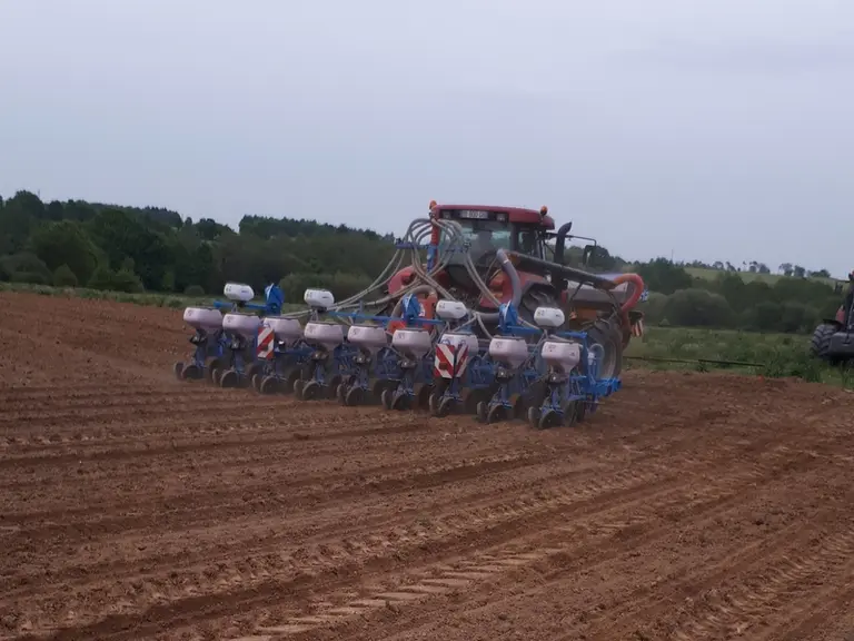La voie de 2,30 mètres, indispensable pour loger trois rangs de maïs dans l’entrepneu, procure au tracteur une grande stabilité sur route et au champ.