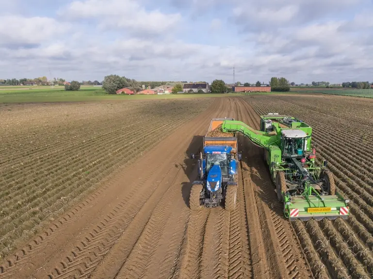 L'éparpilleur de fanes peut être désactivé à l'approche du tracteur et de la benne.  © AVR