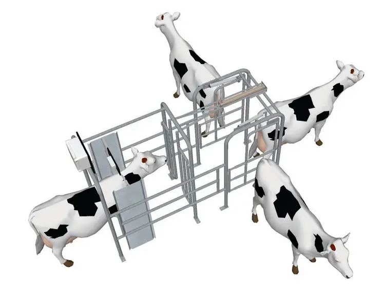 Le robot de traite Gemini de Boumatic peut recevoir une porte de tri à trois voies © Boumatic