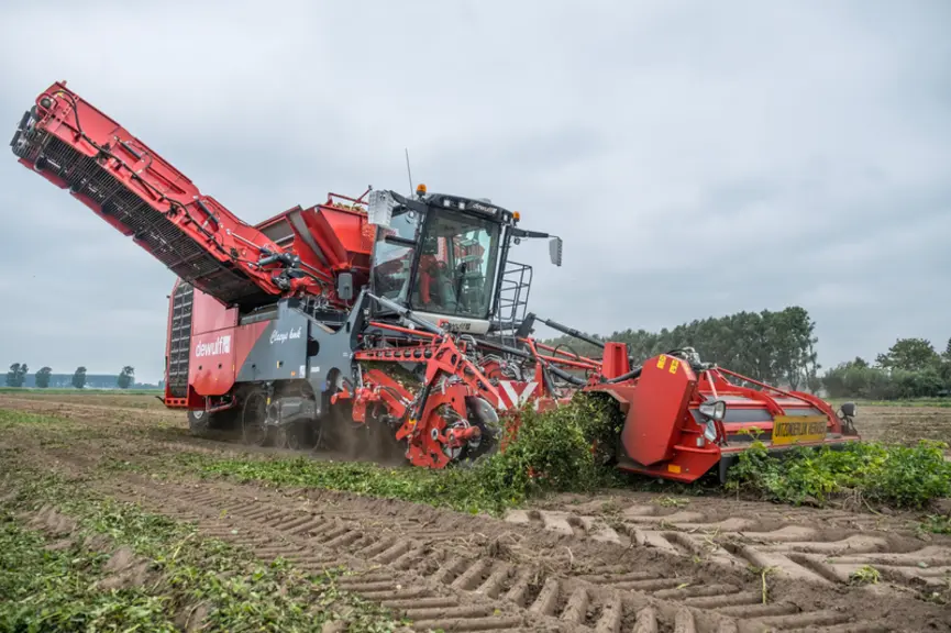 L’automotrice de récolte de pommes de terre quatre rangs Dewulf Kwatro peut désormais vider en roulant.  © Dewulf