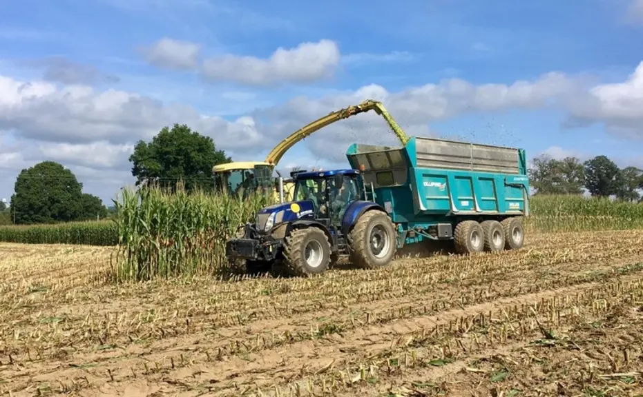 L'ETA adapte, en cours de journée, le nombre de remorques présentes en fonction de la distance entre les parcelles et le silo. © SARL TALIGOT