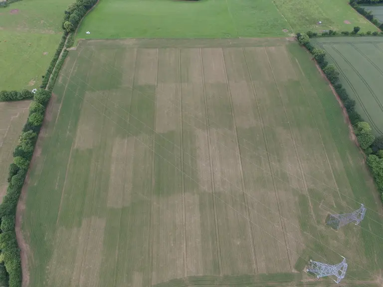 Huit essais de modulation en semis de maïs ont été réalisés entre 2016 et 2019 au Gaec de Queledern par la coopérative Eureden. © Eureden