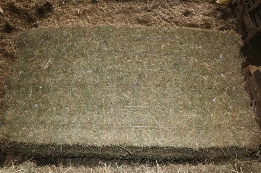 Les balles de foin séchées pèsent entre 450 et 480 kg. © M. Portier