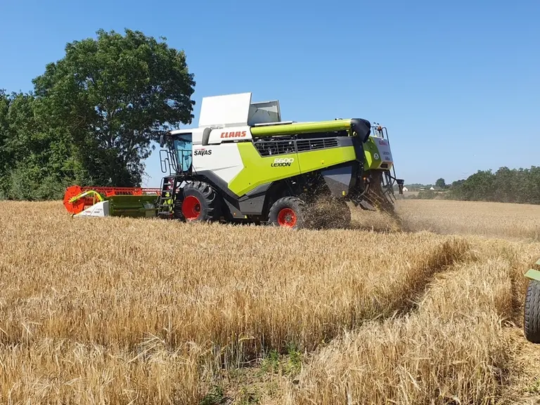 La Claas Lexion 6600, équipée d’une coupe Vario de 7,70 mètres, est facturée 31 000 euros par an pour 150 heures de batteur par an. © G. Mallet